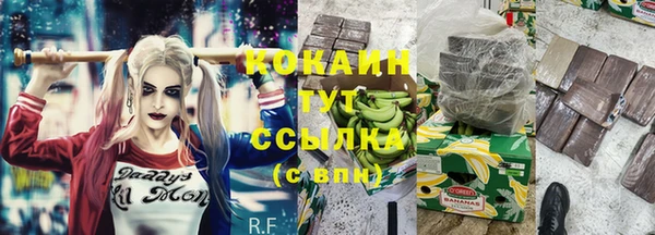 хмурый Михайлов