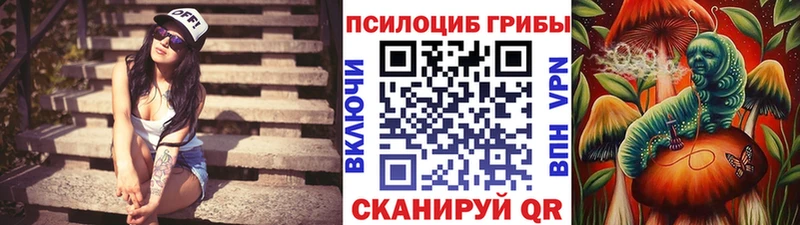 цена   Ликино-Дулёво  мега как войти  Псилоцибиновые грибы GOLDEN TEACHER 